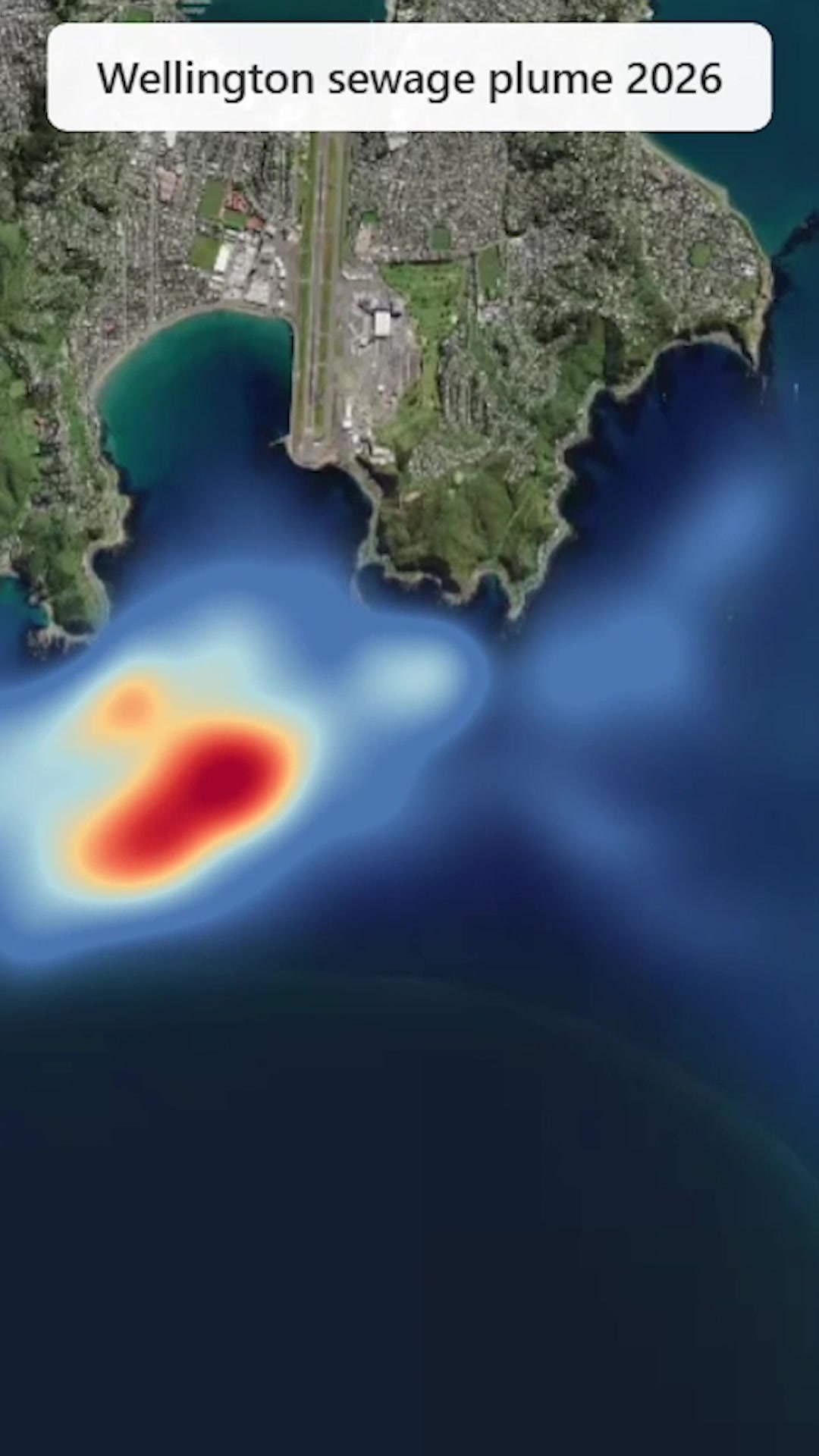 Experts say it is safe to swim at beaches in the capital's harbour, but ...