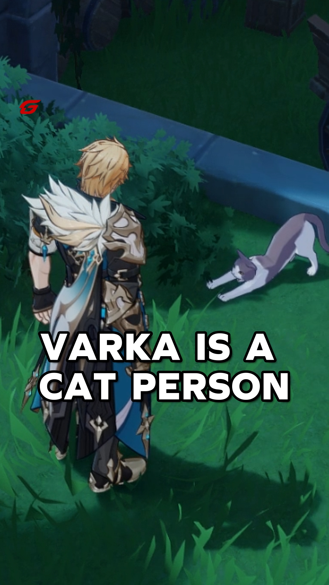 Varka is canonically a cat person! Who would've thought? #Varka