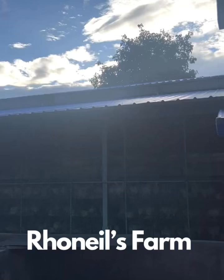Rhoneil's Farm