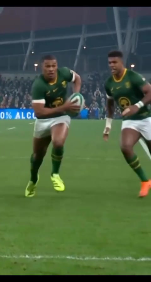 That dive though . . . . . . #springbokpulse #QuilterNS #springboks # ...