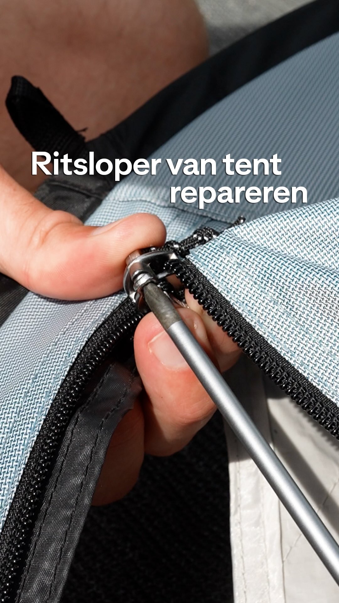 tent huren decathlon Quechua Arpenaz Family Camping 4 Person *Factory Seconds* Camping de Kleine Wielen ss21 Farbe:plum