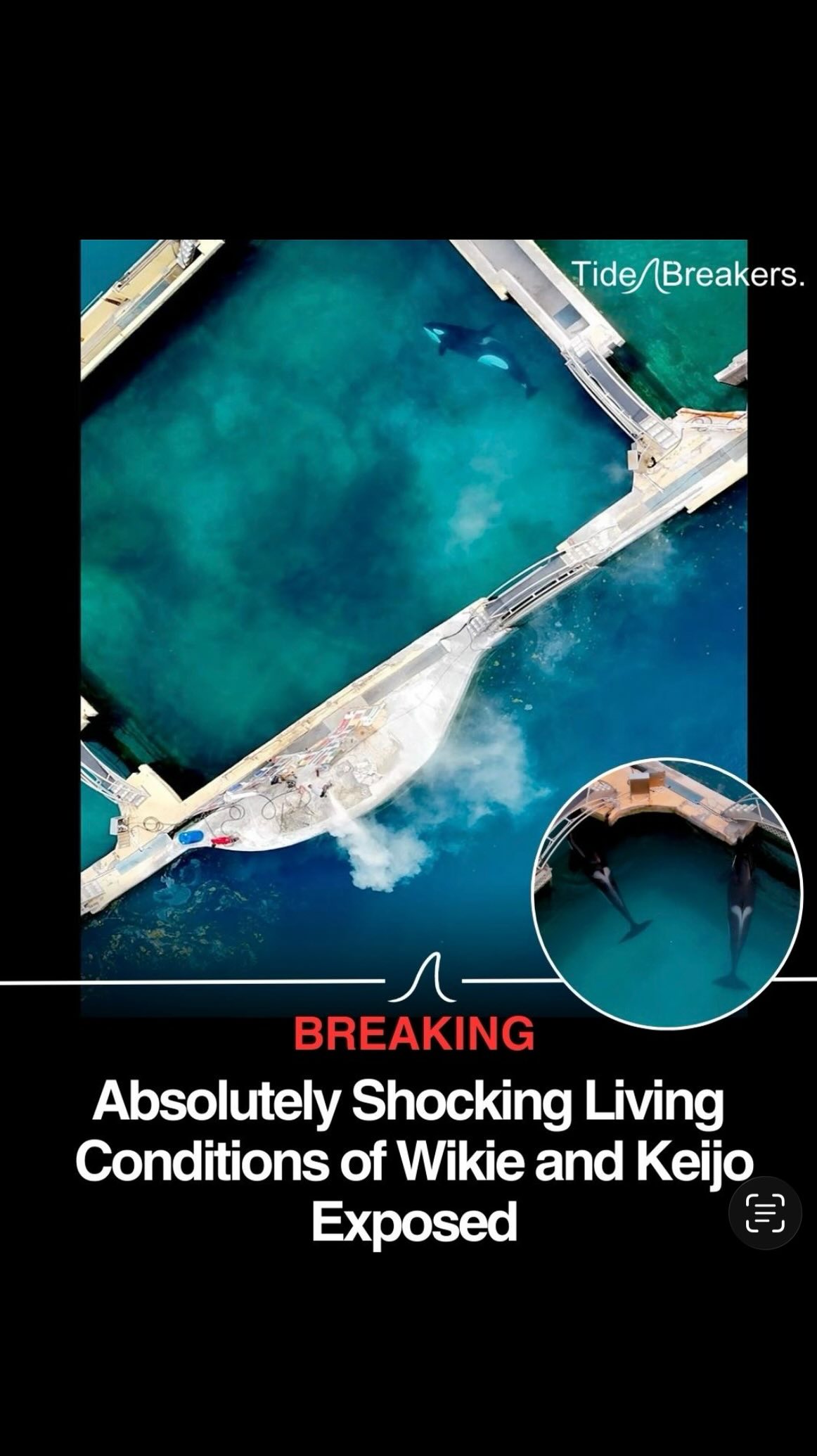 TideBreakers - BREAKING: Absolutely shocking footage... | Facebook