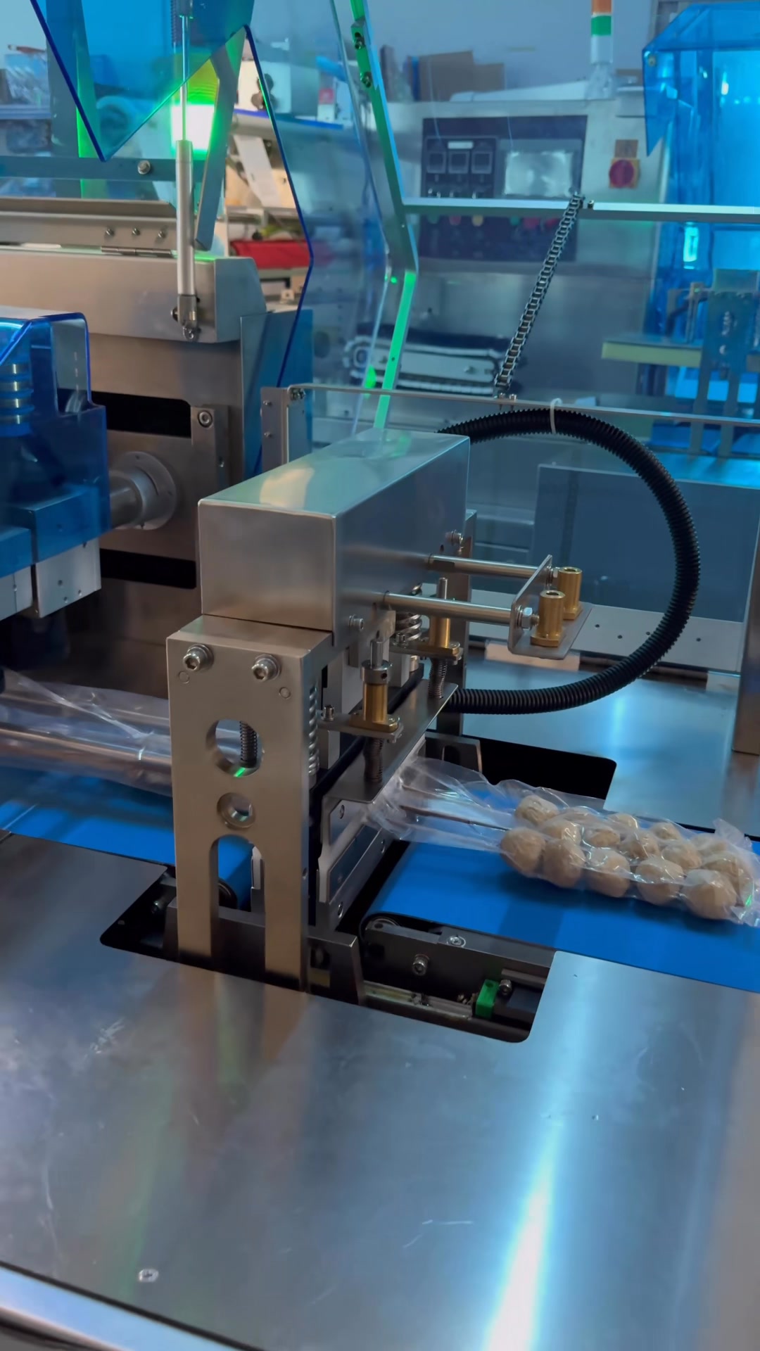 Do you need the meatball skewers vacuum packaging machine? # ...