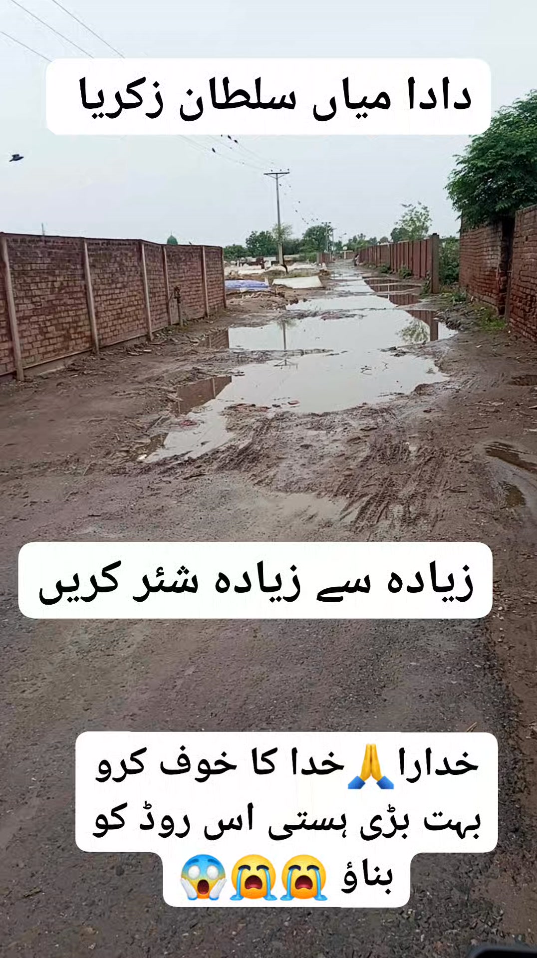 دادا سلطان زکریا کے دربار کی طرف جانے والا راستہ باہر سے آنے والے لوگ ...