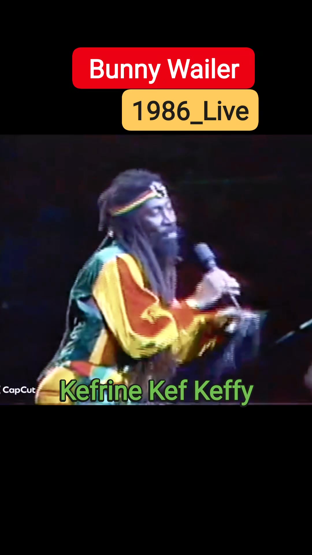 Bunny Wailer - Rootsman Skanking #reggae #dancehall #soundsystem