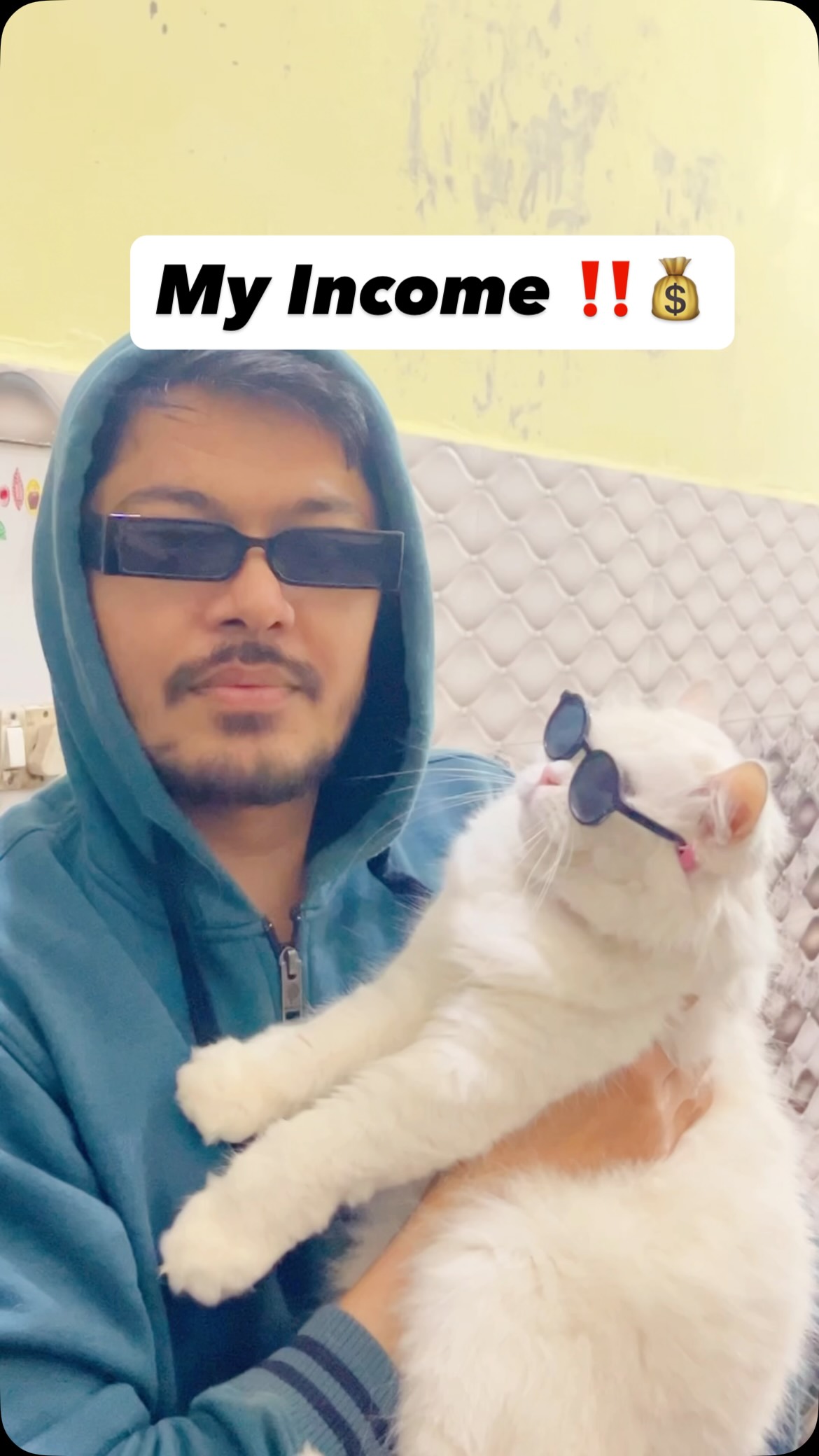 Long video link in bio ‼️ . . . . #reel #dog #husky #trendingsongs ...