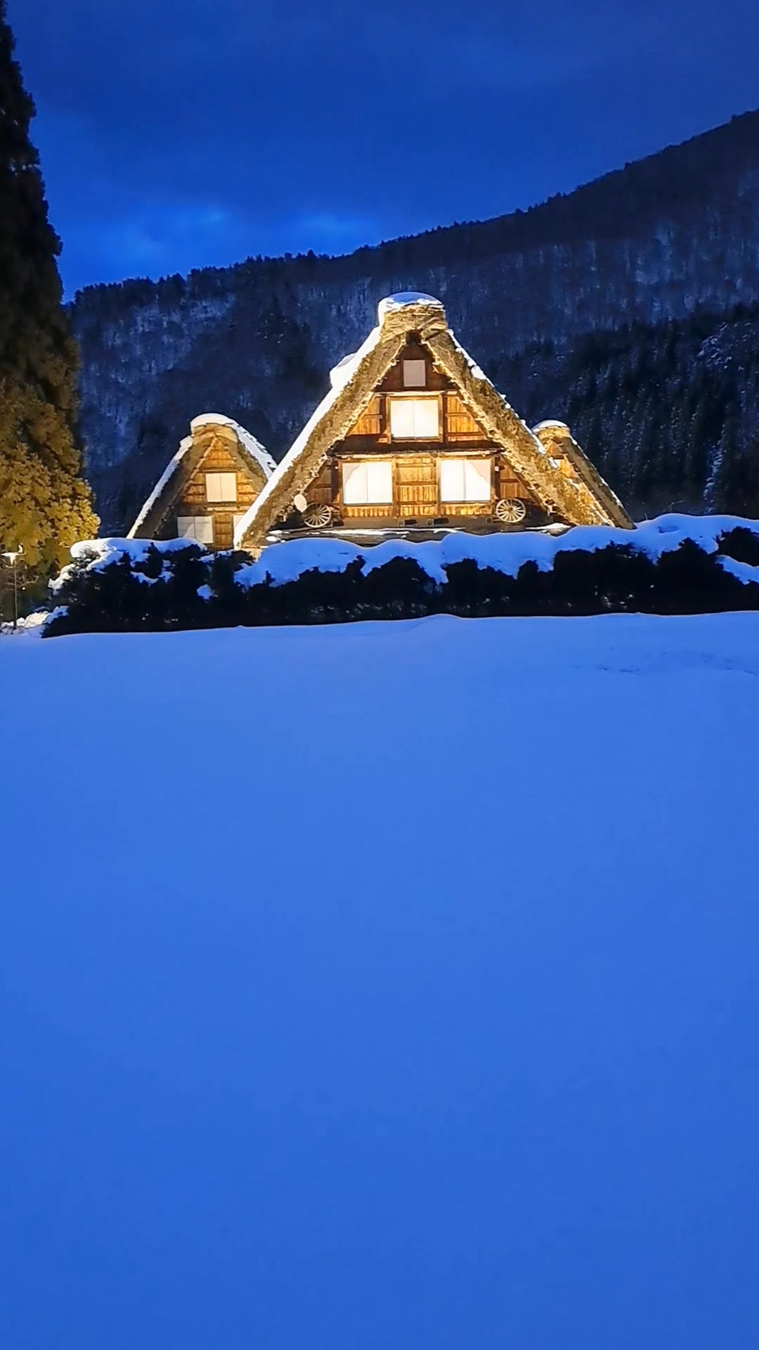 白川郷ライトアップ | 【世界遺産】ひだ 白川郷 THE WORLD HERITAGE