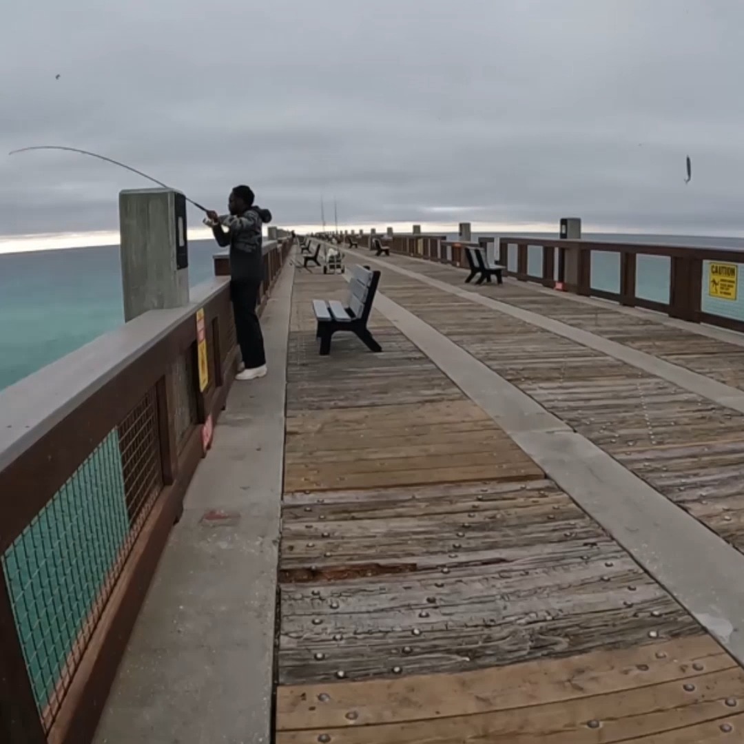 Massive fish caught from the gulf fishing pier! | AnglerUp with Brant ...