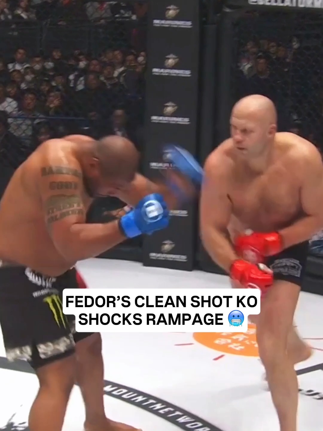 This punch was surgical! Fedor Emelianenko Drops Rampage With a Clean ...