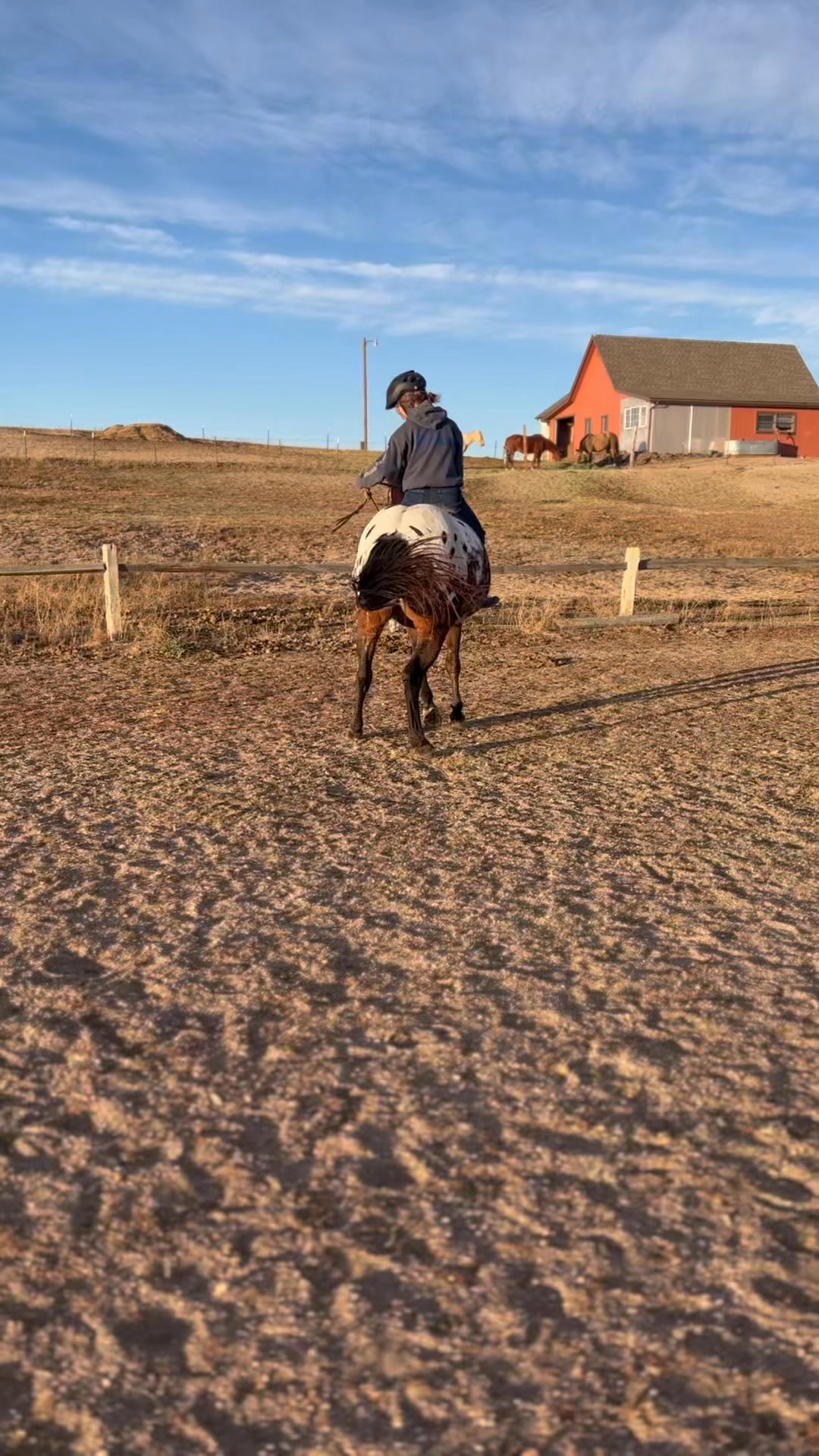 Recreation Ranch on Reels | Facebook
