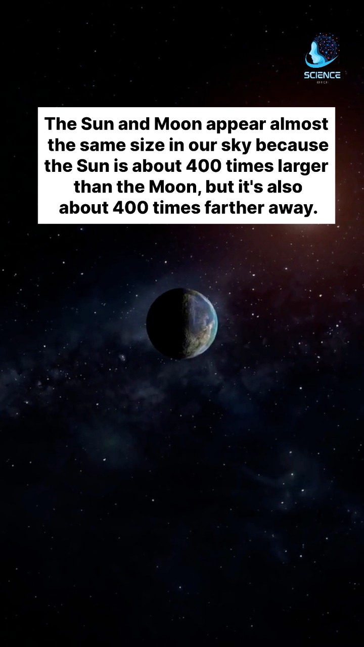 The Sun and Moon appear almost the same size in our sky. #science # ...
