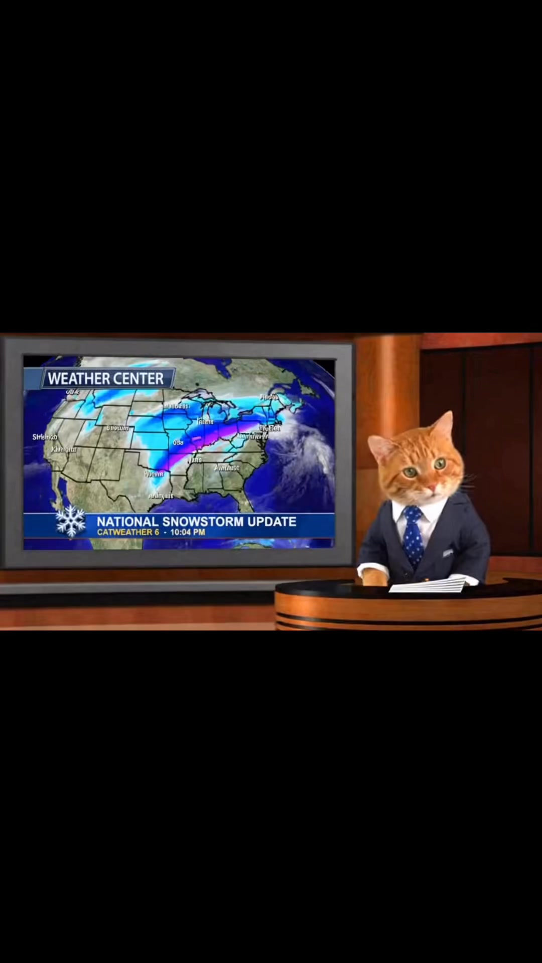 Whiskers is doing the weather news about the storm in the USA ️😸# ...