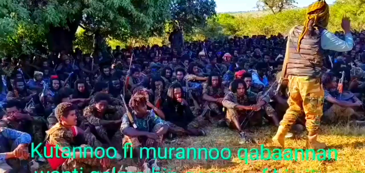 Riphee lo-laan tokko waan sadi jabeeffachuu qaba. Qa-wwee isaa ...