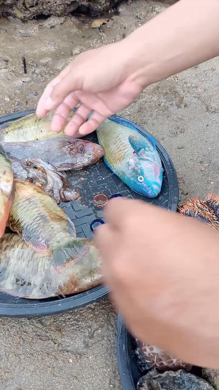 Surprisingly see what we found out inside of a fish 😱 | Roma Hernadez ...