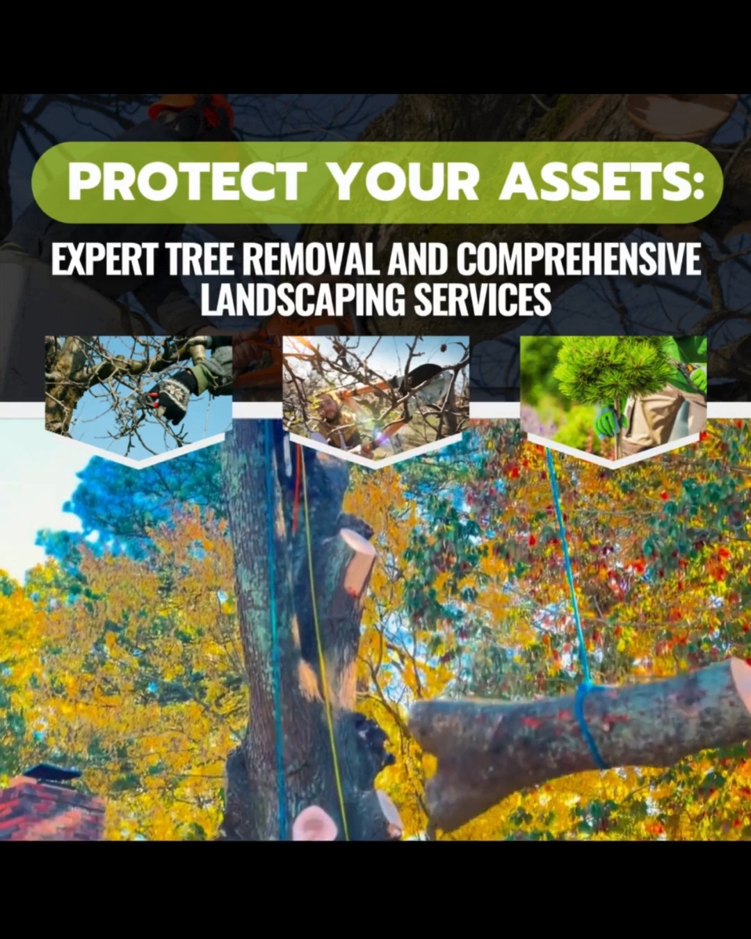 Tree Service / Audel Jimenez on Reels