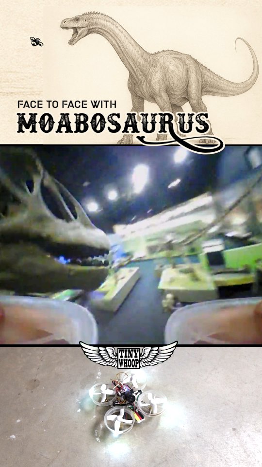 Chewed up by Moabosaurus #tinywhoop #whooplife # ...
