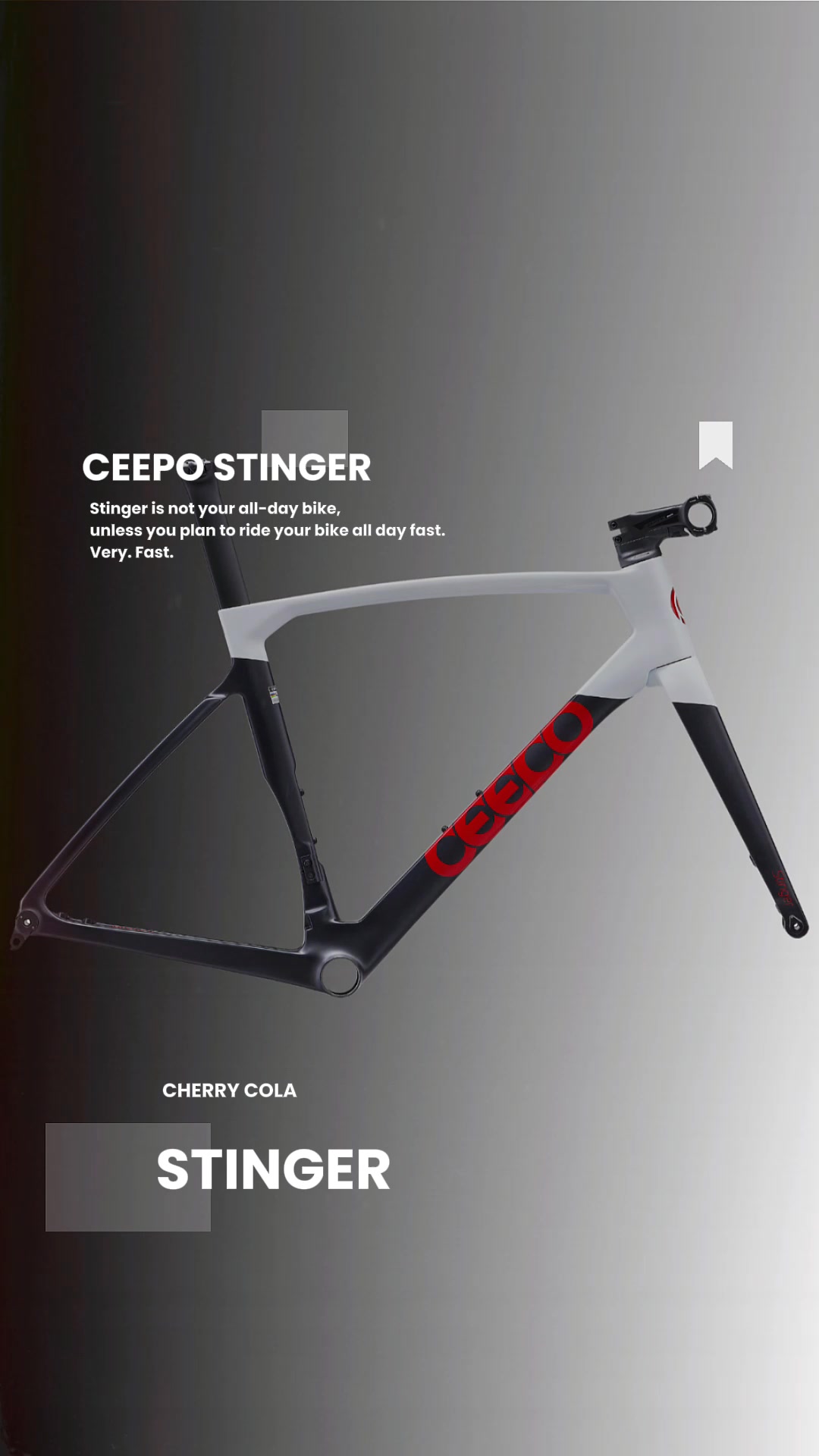CEEPO Stinger's speed is engineered in the details. By shifting