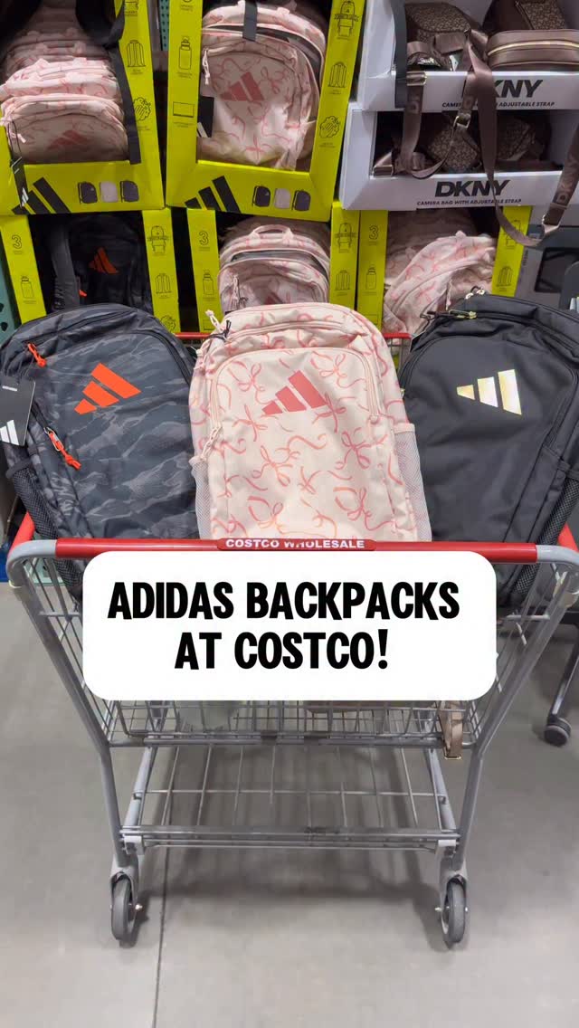 adidas classic backpack grey pink Amazon.com | Foundation Backpack, Twill White/Pink Spark/Grey, OSFA Length/Action:6'10