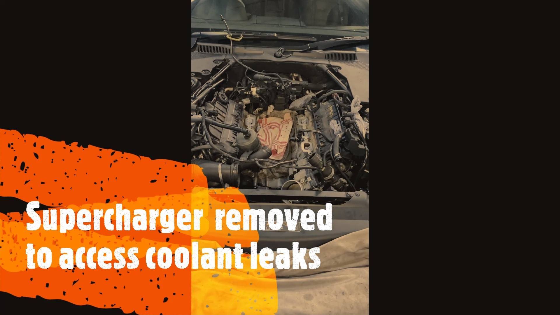 F Type coolant leak | 3.0 F type in the workshop for a coolant leak