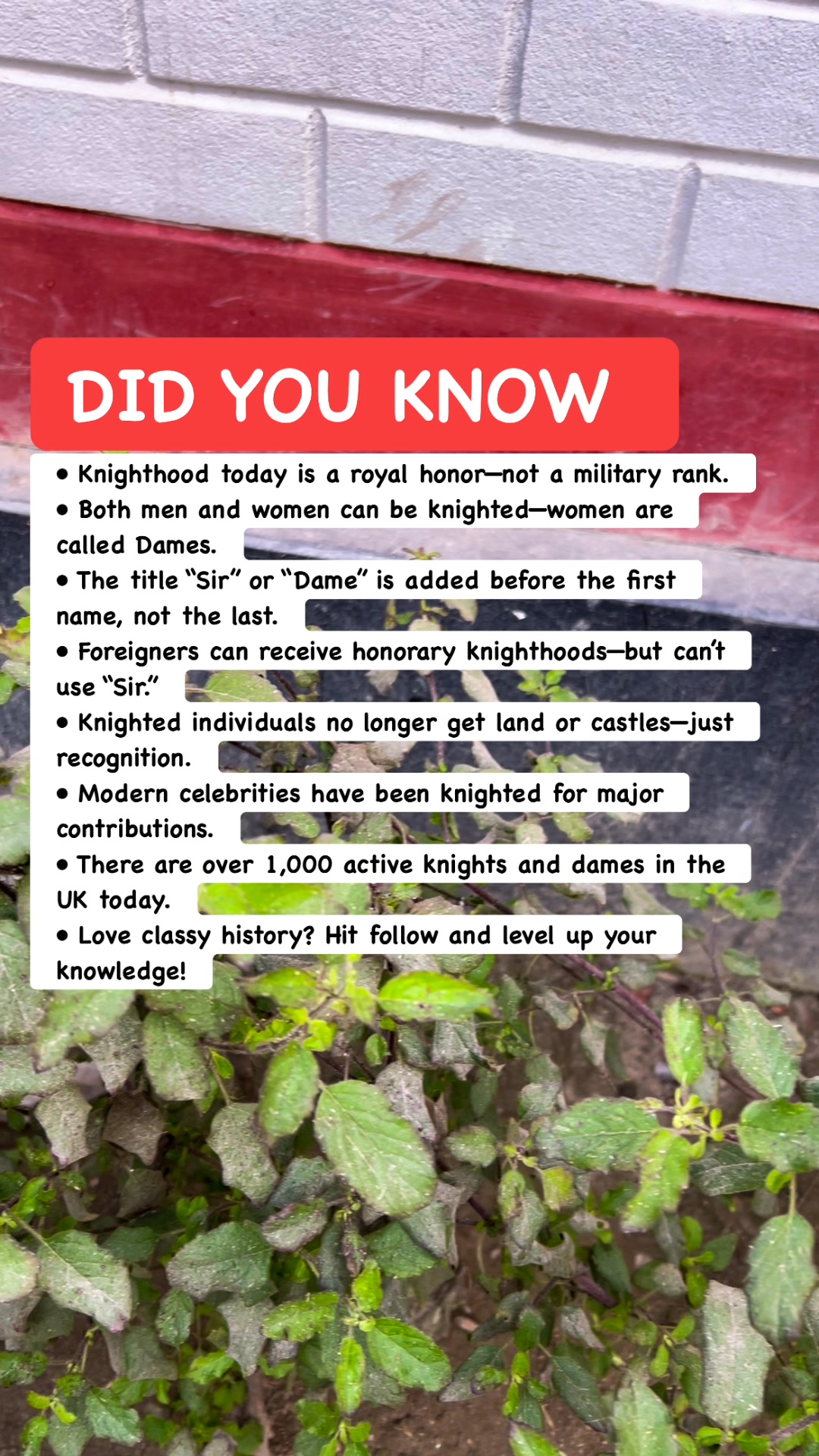 ⚔️ The Truth About Knights They Never Taught You #historyfacts # ...
