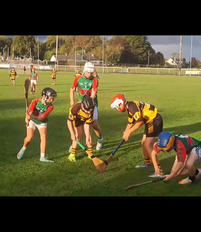 Official Arravale Rovers GAA | Tipperary
