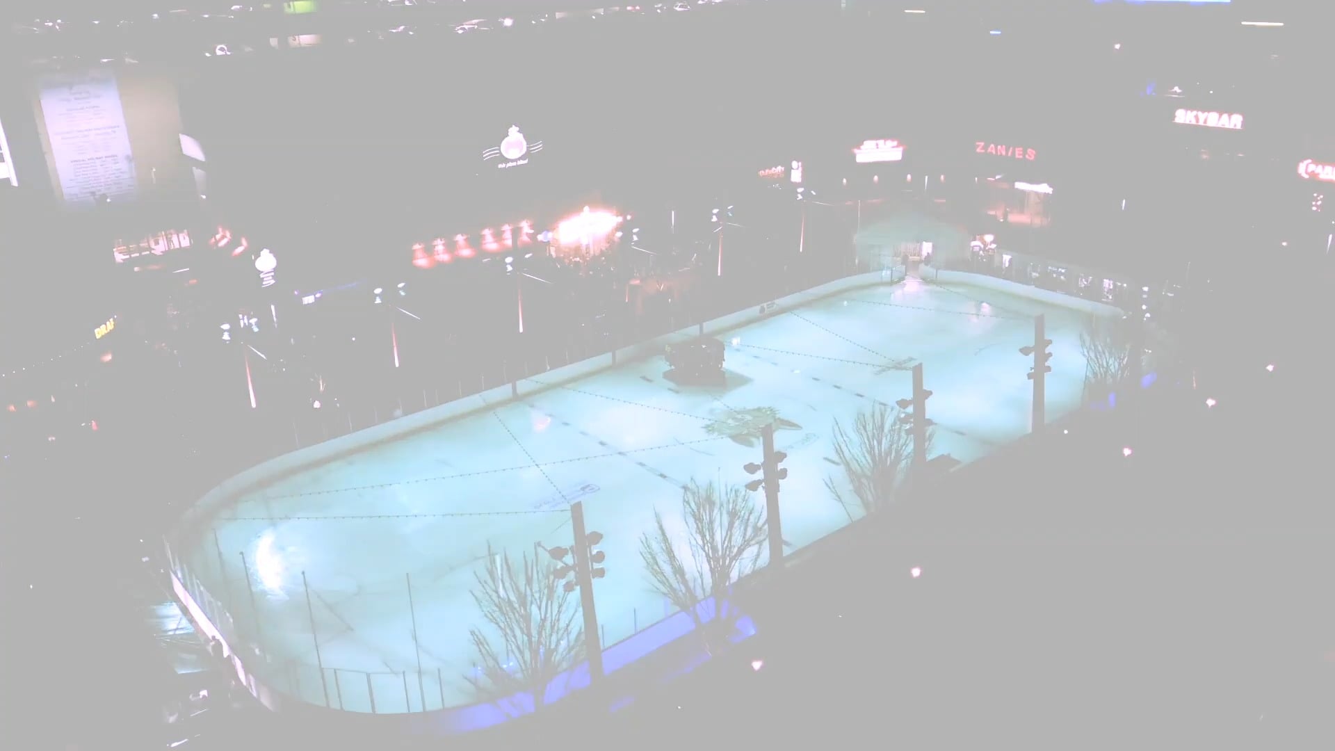 Enjoy FREE outdoor skating at the Chicago Wolves Ice Rink at Parkway ...
