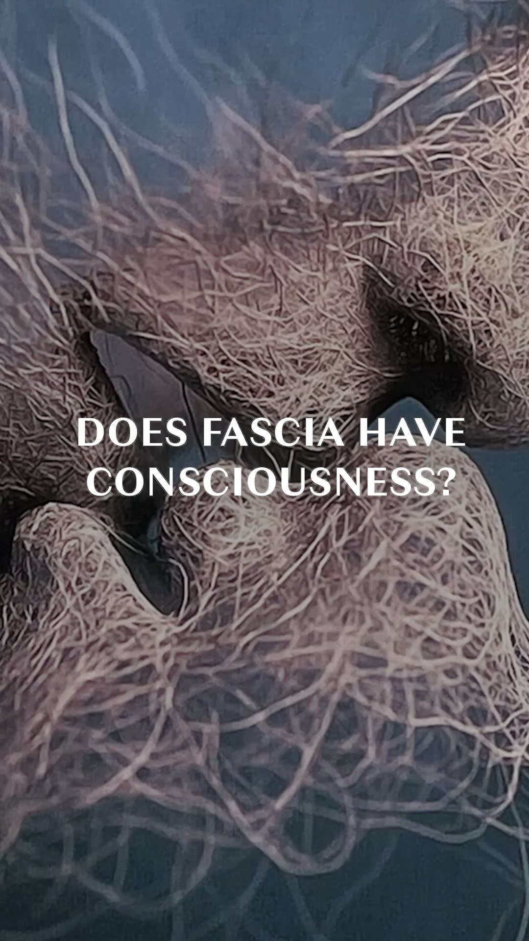 This is probably my favorite part of this episode. It begins to suggest ...