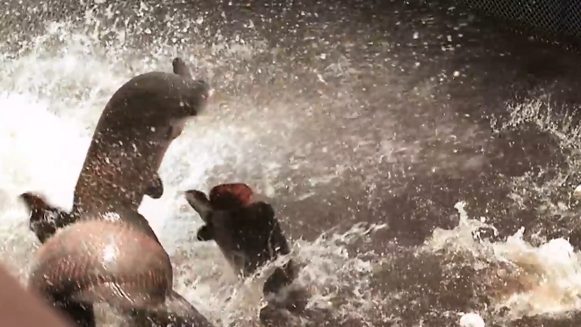 jeremy-reveals-the-inside-story-of-this-famous-river-monsters-clip