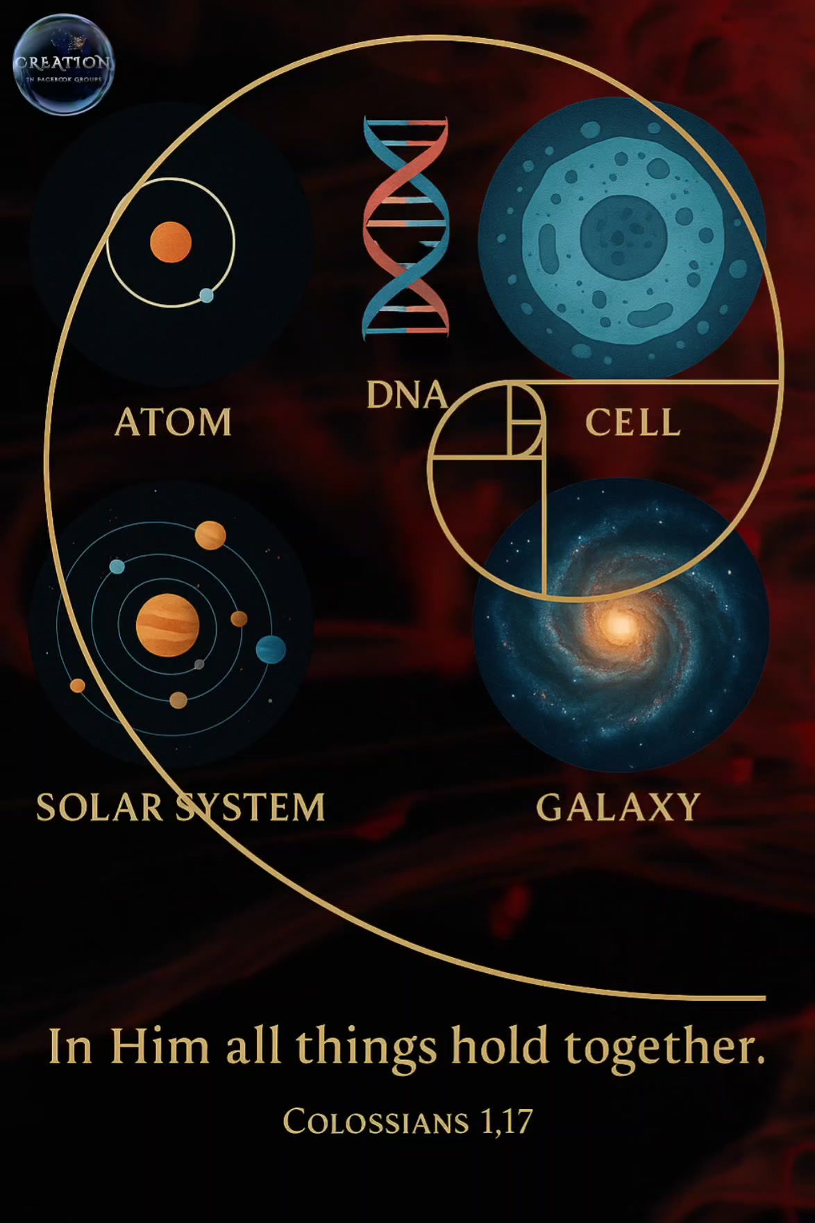 GOD IS! Organized, functional complexity, like what we see in the ...