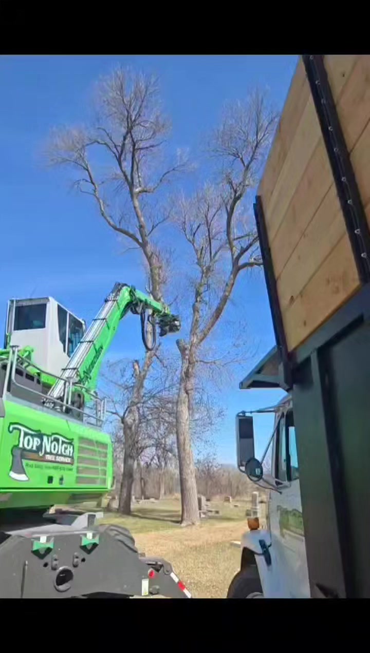 Top Notch Tree Service on Reels | Facebook