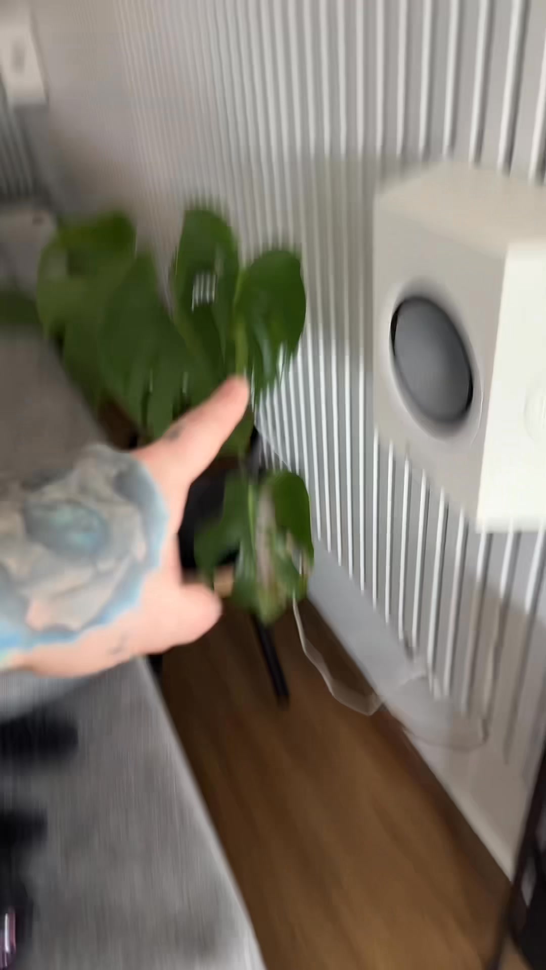 Blumenständer von Action im Test 🌼 | Tutich
