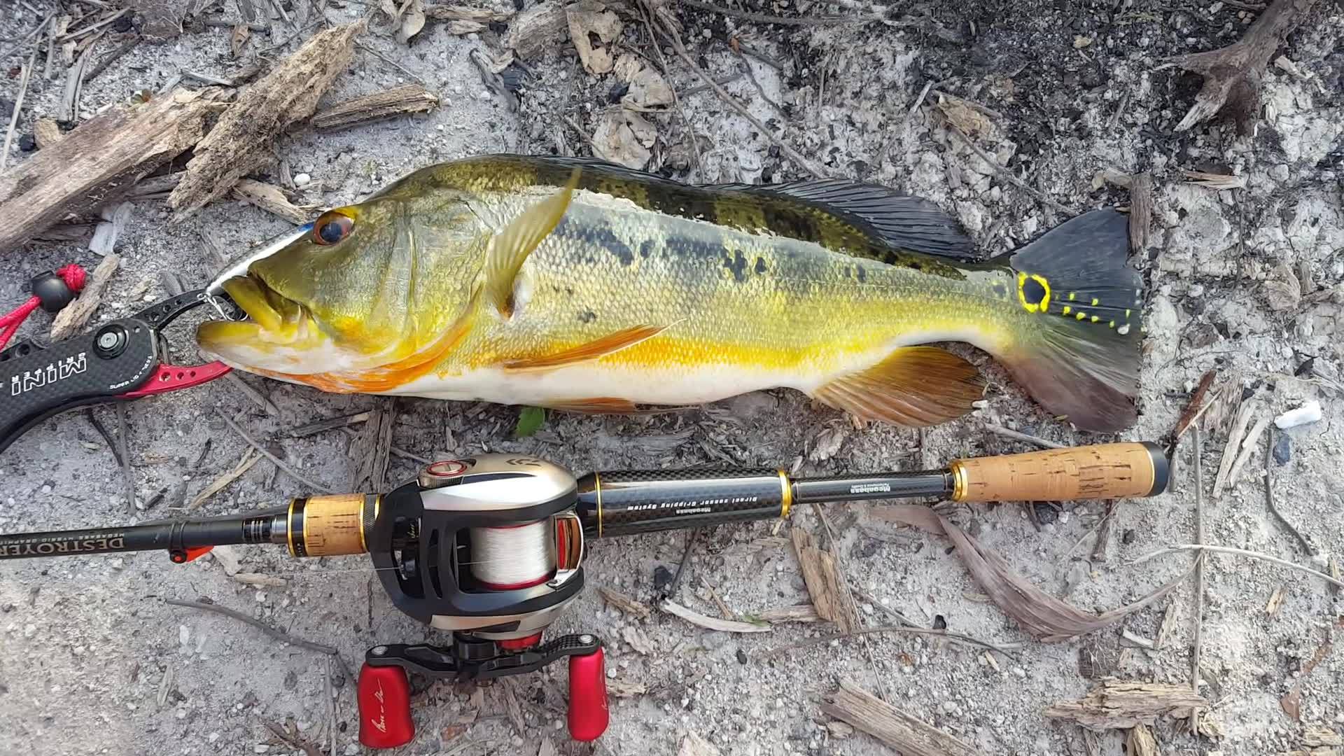 TEAM DAIWA - X 5000 HIA salt water