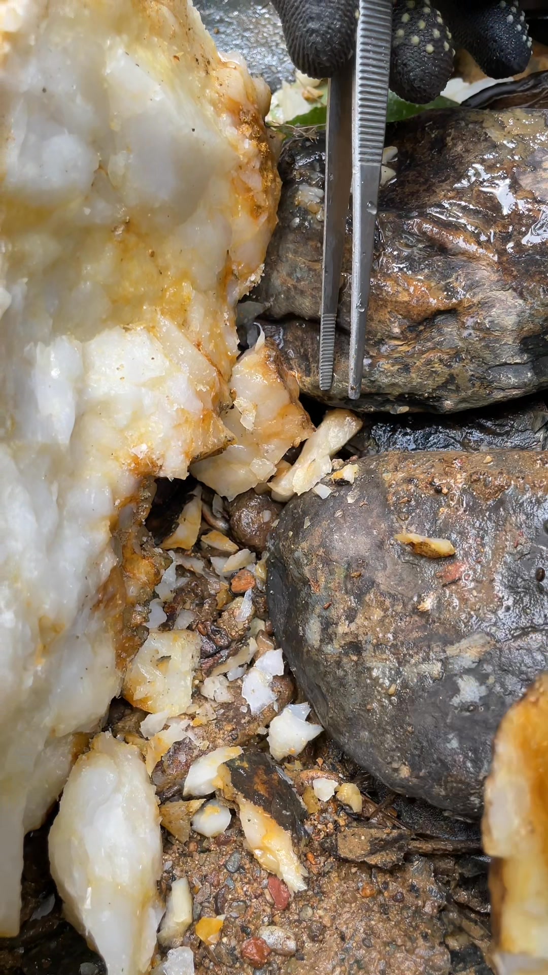 In the forest and along the flow of this river I found a lot of rocks ...