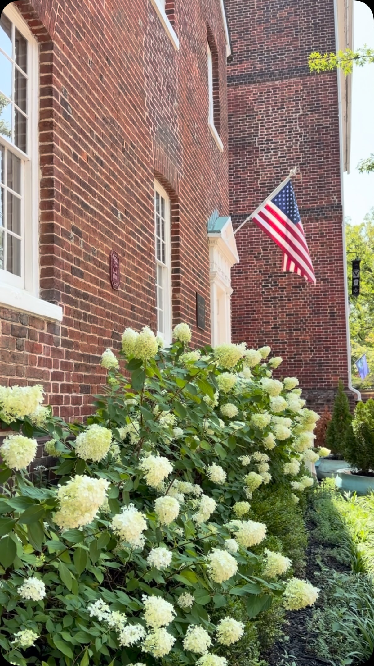 glutathione annapolis The best surprise! Random Acts of Wellness is still happening🥰, We love helping make deposits to your Cortisol Bank Account, but remember a walk or slow morning counts too! Any deposit is a worthy hydration Size:40 g Personally designed by Dr.