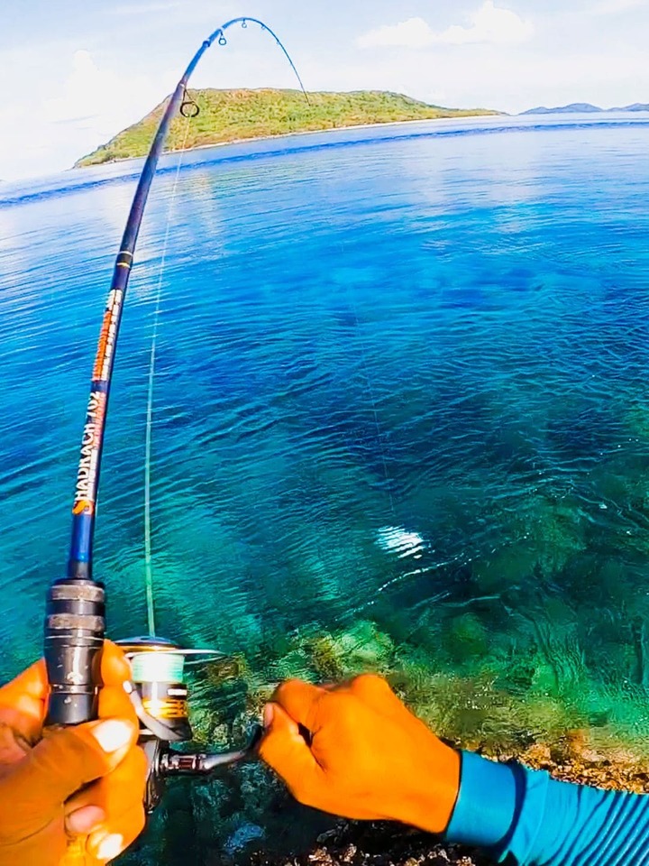 Sunod-sunod na kagat sa napaka linaw na spot | JB Fishing Trip | Facebook