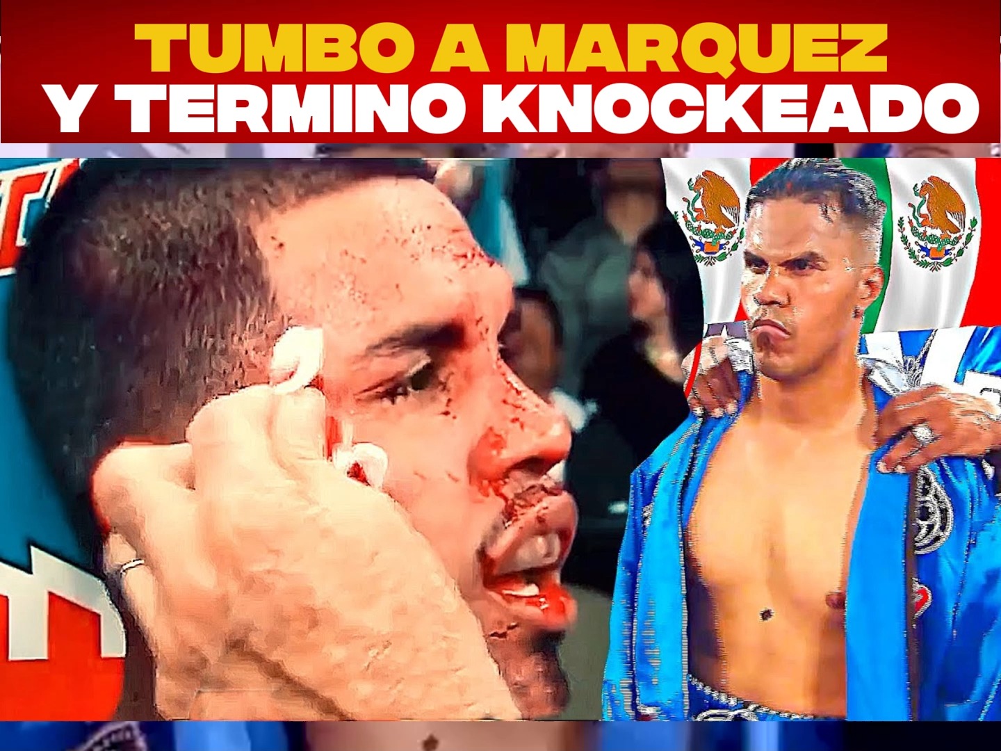 El Boxeador que tumbo al Mexicano Marquez y Termino KNOCKEADO 🔥🥊 #box # ...