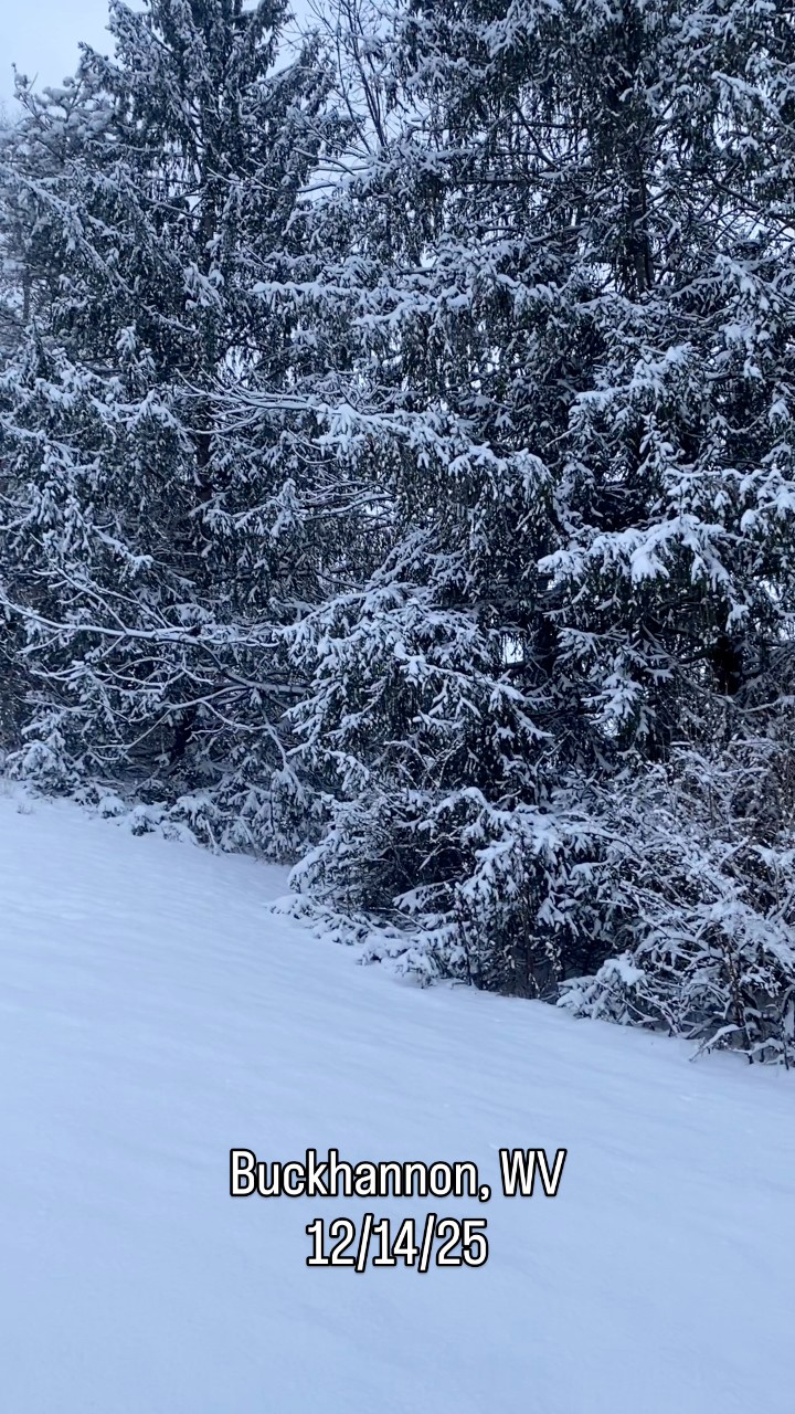 Here’s a before & after of a solid mid December snowstorm in central ...