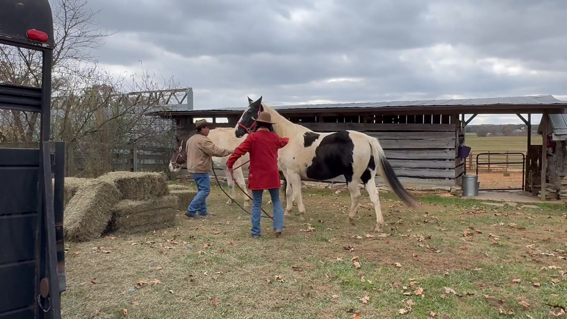 New Horses! | Seventy-Four Ranch B & B | Facebook