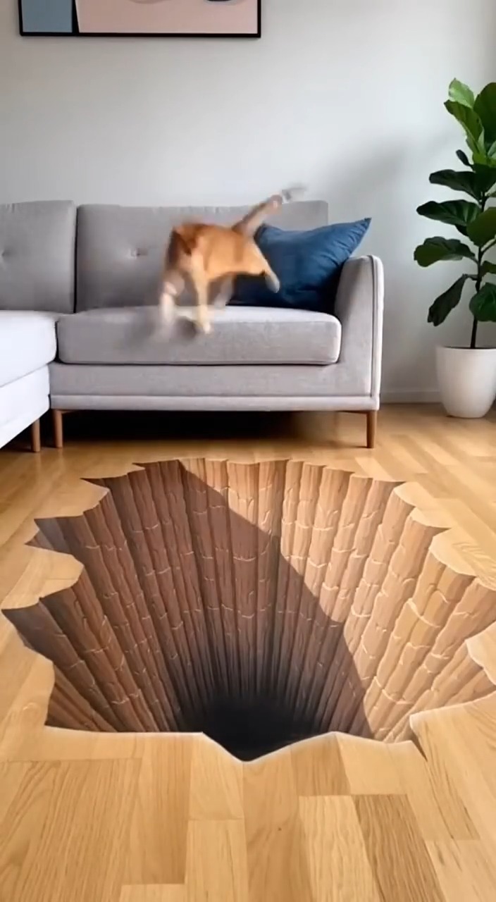 Cat Freaks Out on the Optical Illusion rug 🤣 #shorts #shorts #shorts # ...