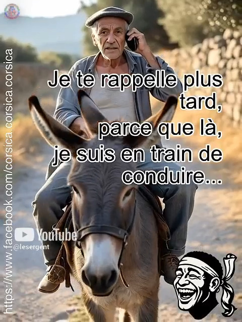 Une tranche de vie typiquement Corse ! Sur un chemin de montagne, un ...