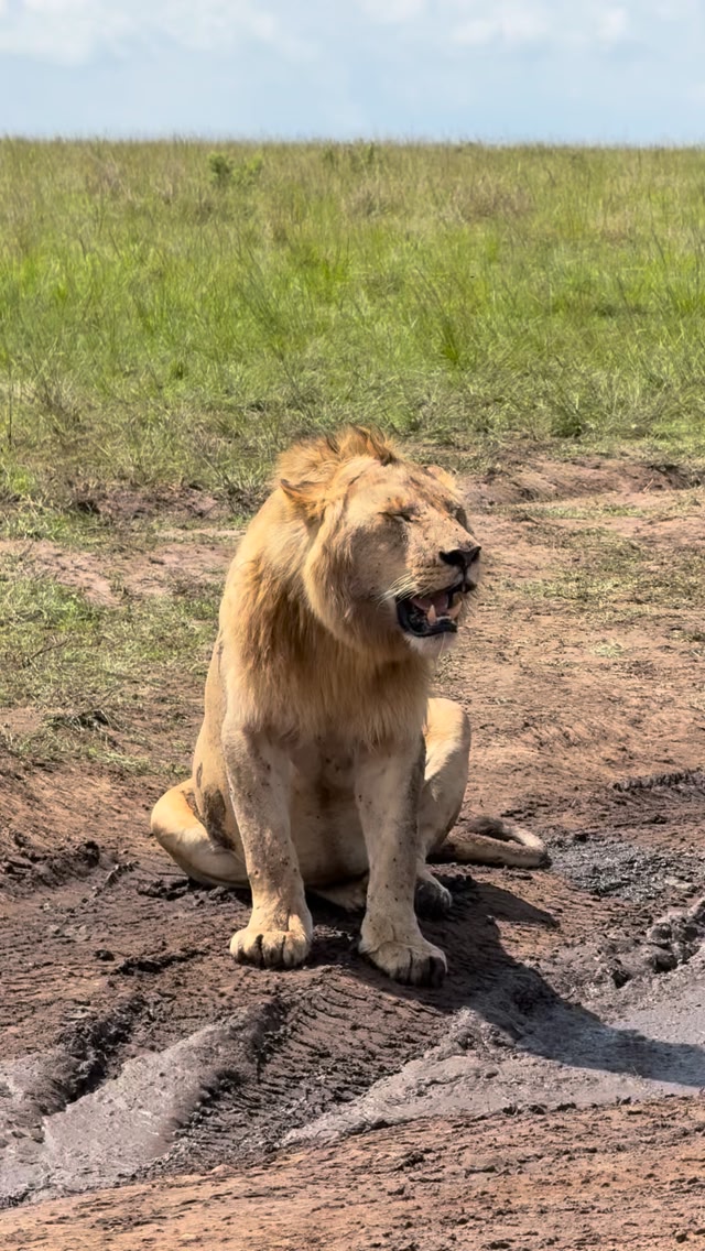 Rongai sub Masai mara national reserve Kenya | Ben Letura | Facebook