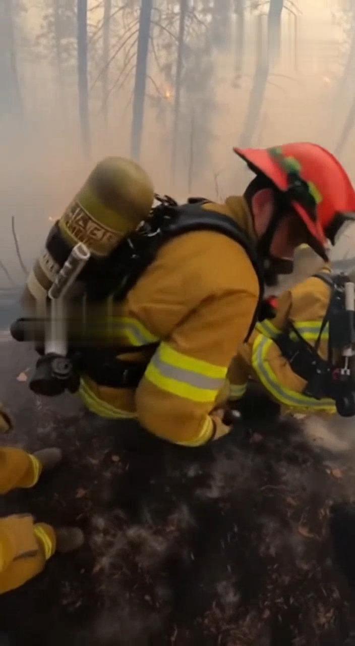 Through smoke and falling ash, rescuers carry an injured dog to safety ...