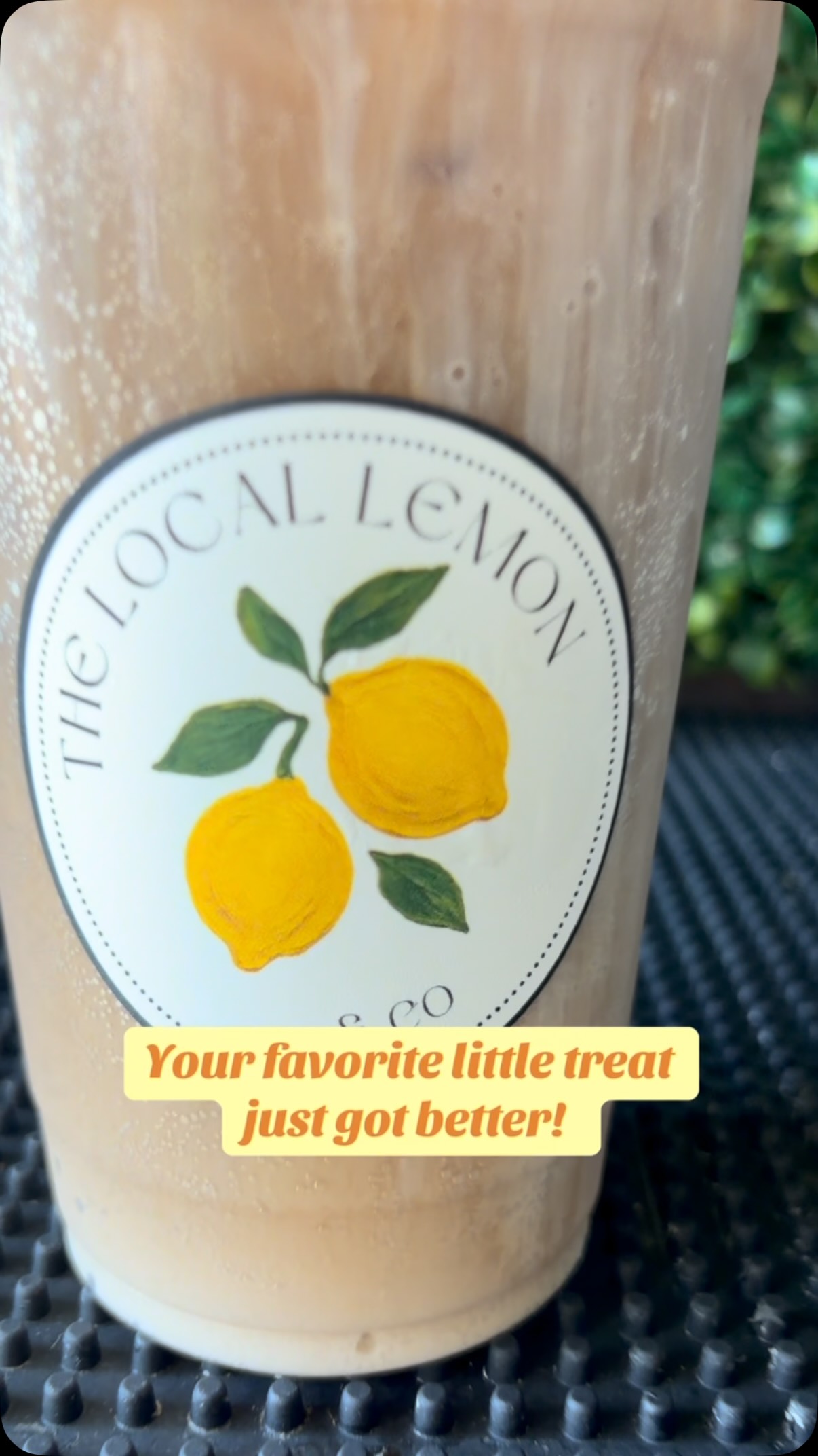 The Local Lemon Co | Pisgah Forest NC