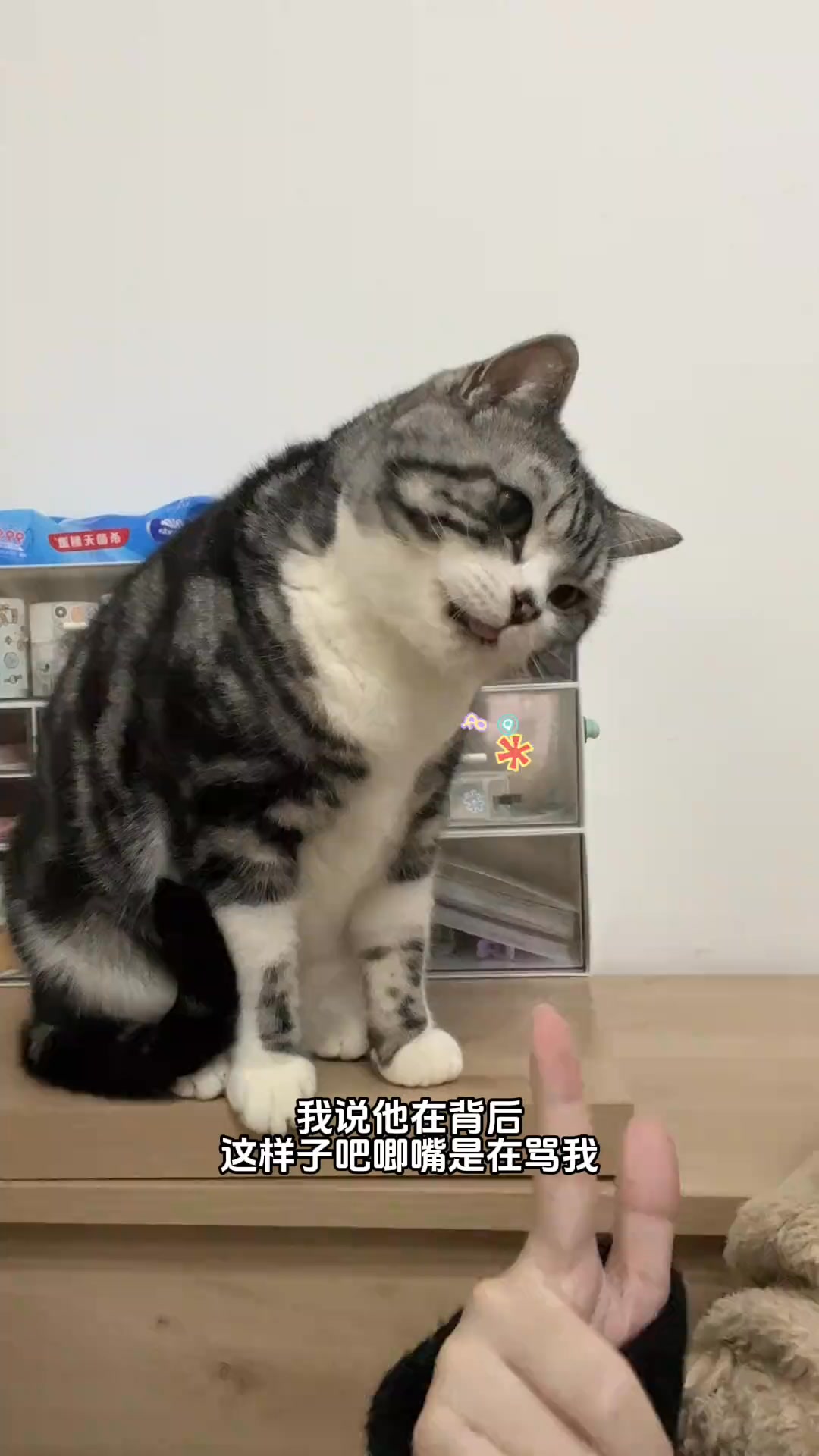 求錘得錘！這下我看杠精還要怎么杠！ | 玲玲美食日记 | Facebook