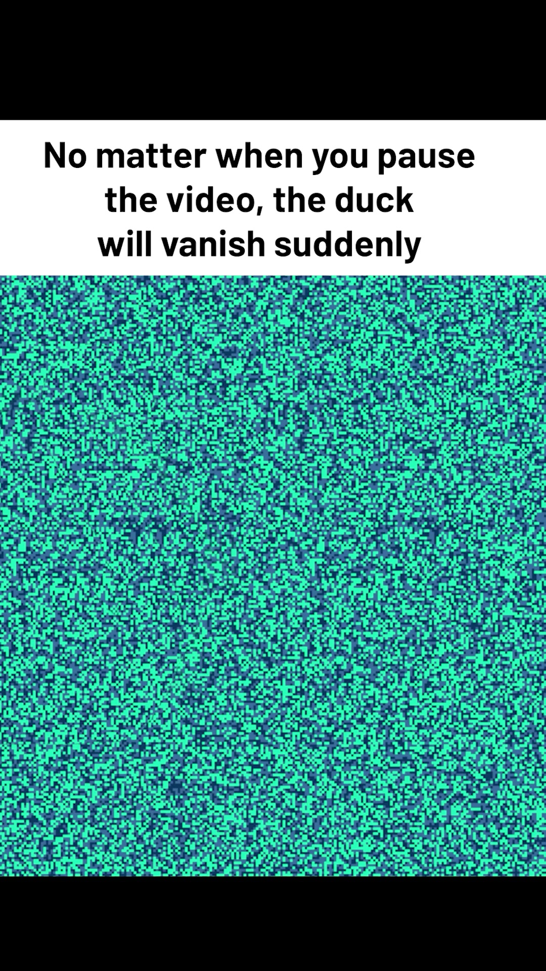 No matter when you pause the video, the duck 🦆 will vanish suddenly ...
