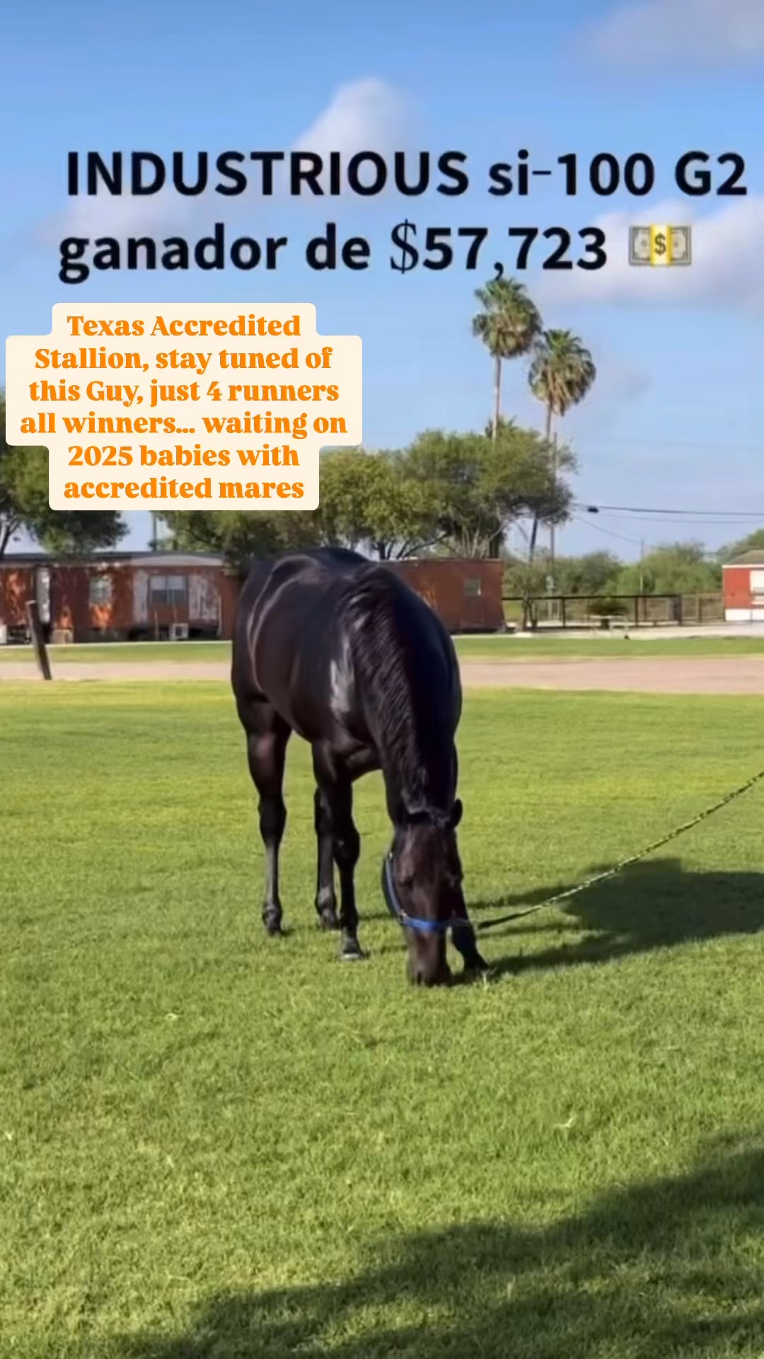 Rio Rico Ranch