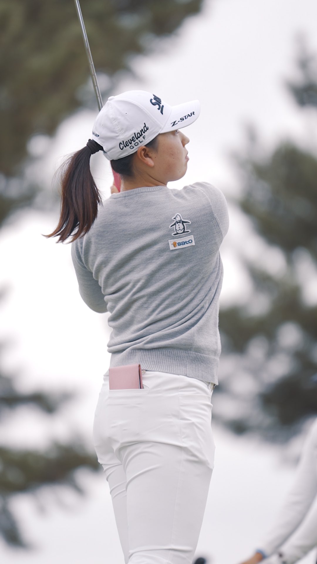 全米 女子 プロ ゴルフ 協会