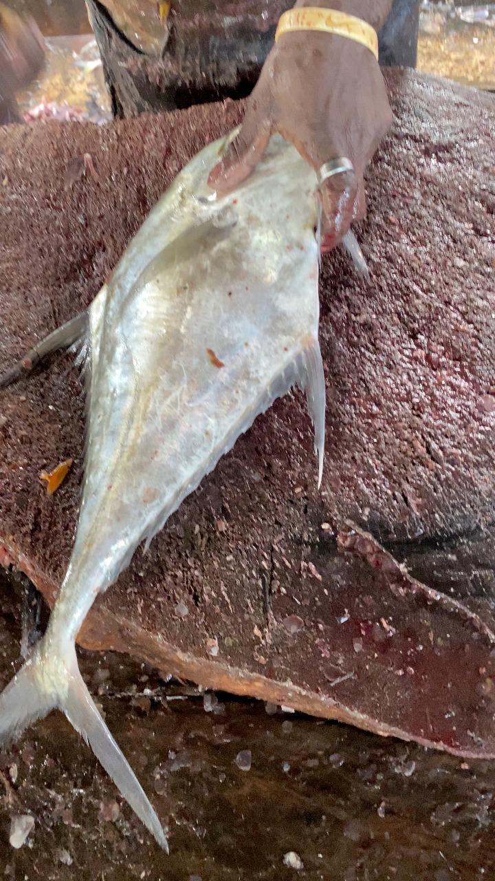 Fish market Chilaw #viralreelschallenge #fishing #fishinglife #fish # ...