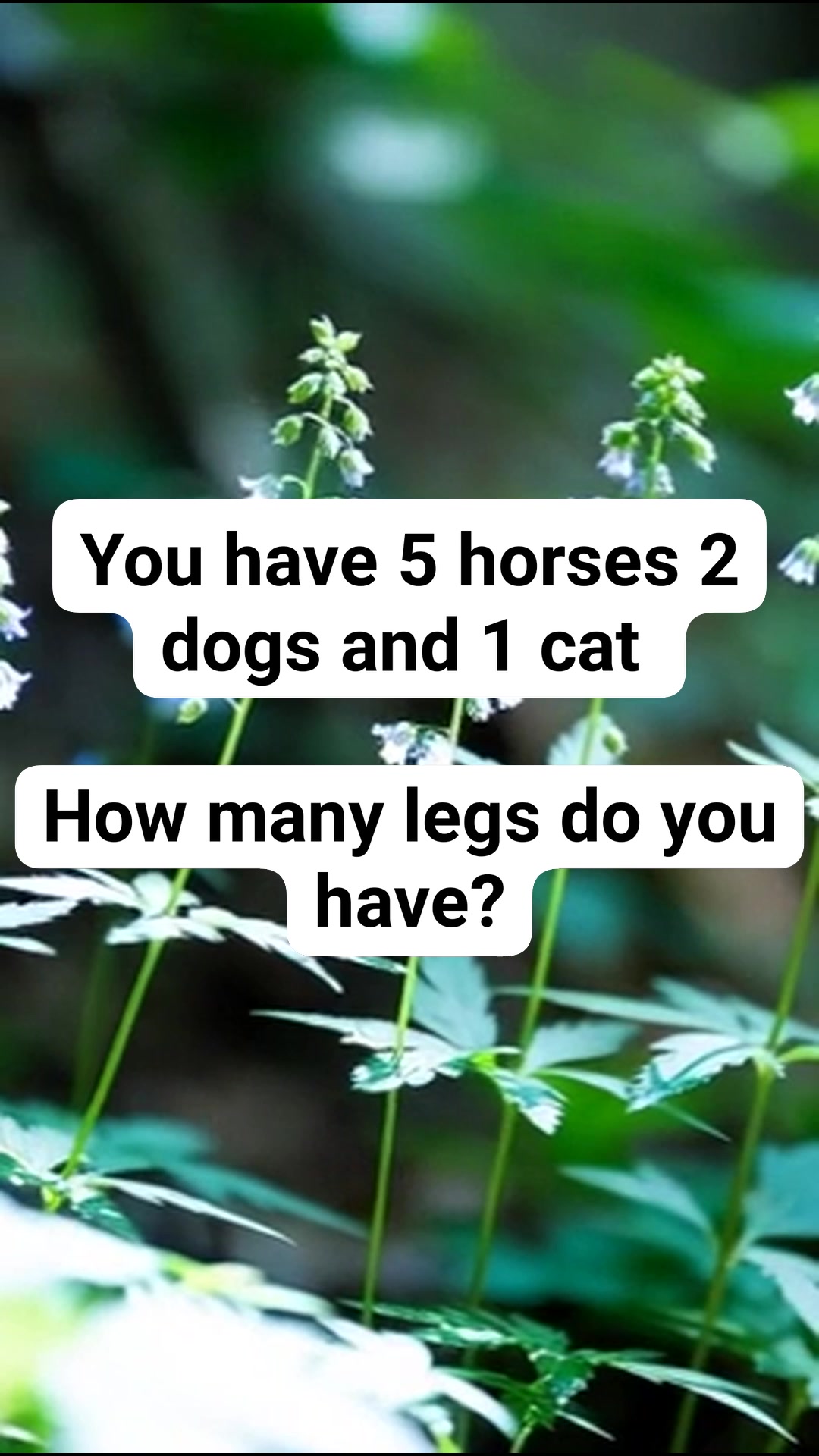 #riddle #brainteaserschallenge #riddlechallenge #riddlesforkids # ...