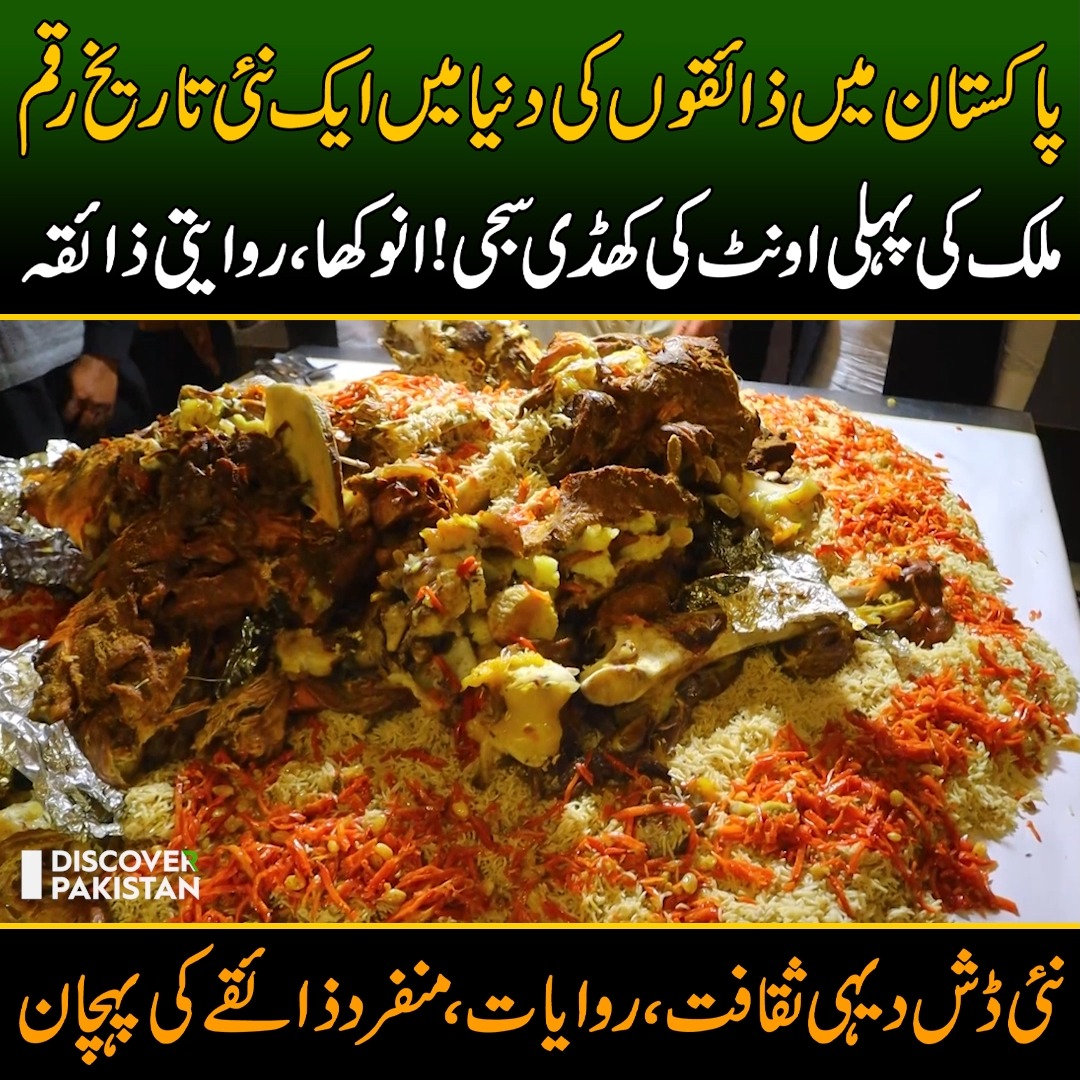 پاکستان میں ذائقوں کی دنیا میں ایک نئی تاریخ رقم..ملک کی پہلی اونٹ کی ...